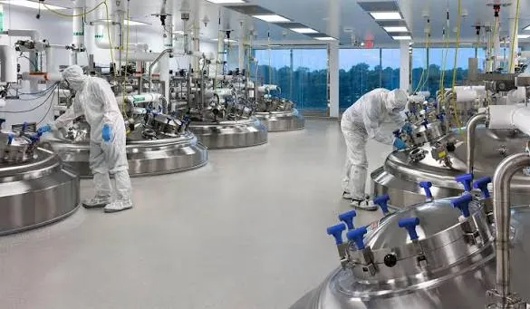 Pharmaceutical grade mineral processing