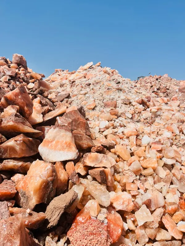 Mineral Processing